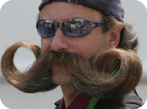 moustache.gif?w=490&h=363
